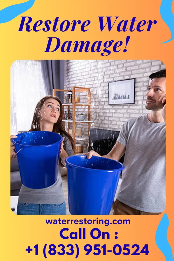 water restoration Stellar Damage Restoration Force Archer Lodge