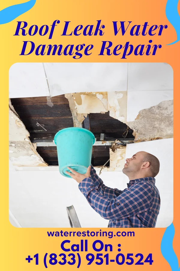 Roof Leak Water Damage Repair in Archer Lodge, NC
